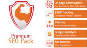 premium seo pack